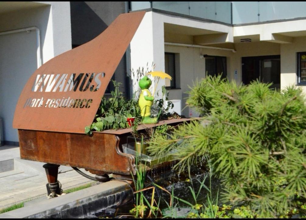 Vivamus Studio Brasov Ngoại thất bức ảnh